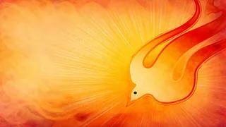 Kunstnerisk grafik af due. Hele billedet i rød, orange og gule farver.